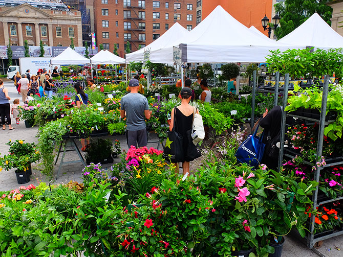 Les Marches De New York Newyorkcity Fr